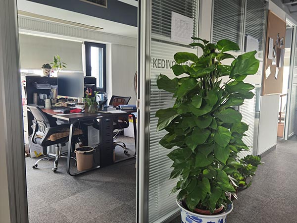 专业办公室装修